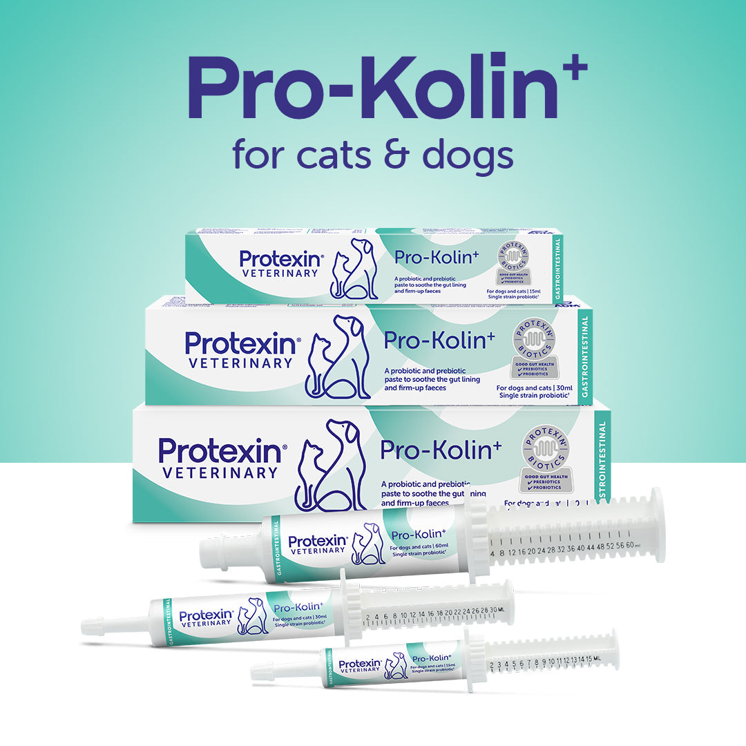 Better health starts in the gut. Choose the probiotic paste trusted by Australian vets.