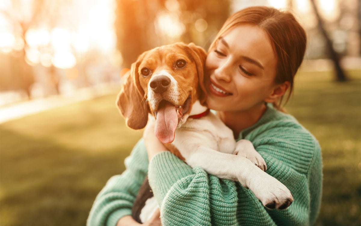 Vet-Approved Beagle Feeding Guide & Nutrition Tips