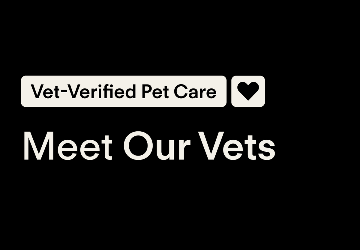 Meet the Vets Behind Vets Love Pets