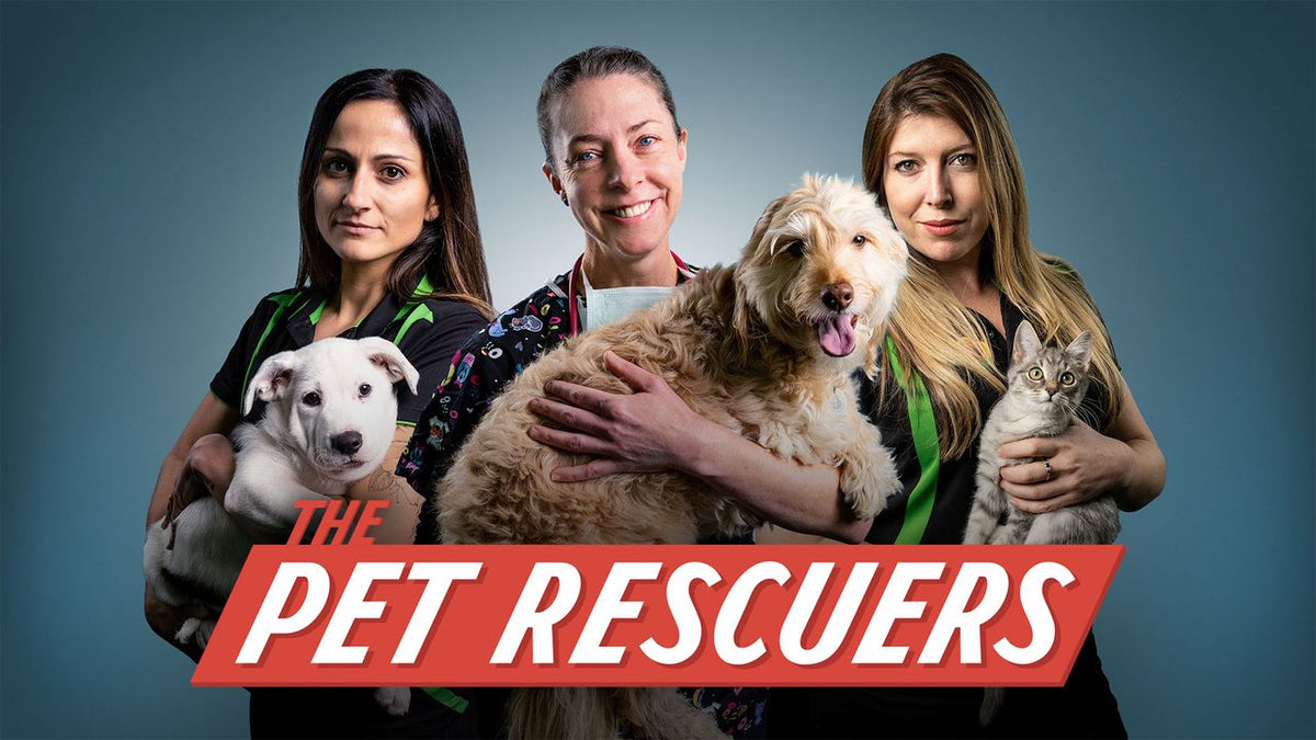The Pet Rescuers Season 2 | Vets Love Pets