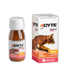 Cat Joint Supplements - Vet Endorsed