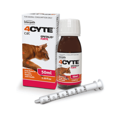 Cat Joint Supplements - Vet Endorsed