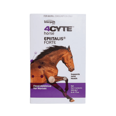 Black Friday Early Access – Up to 15% Off Horse Products