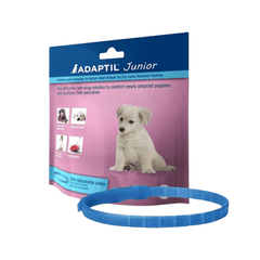 Puppy Collars & Leads - Vet Recommended