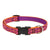 LupinePet Alpen Glow Original Designs Dog Collar