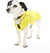 Buster Lemon Raincoat