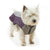 Buster Winter Jacket Steel Grey/Black Plum