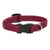 LupinePet Berry Eco Dog Collar