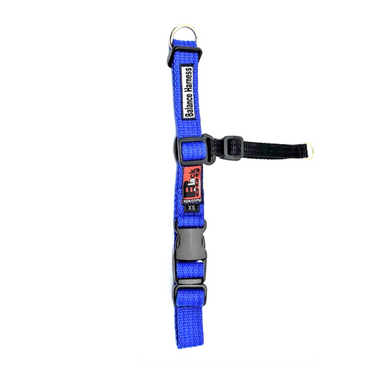 Black dog wear sales harness