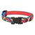 LupinePet Lollipop Original Designs Dog Collar 1.3cm