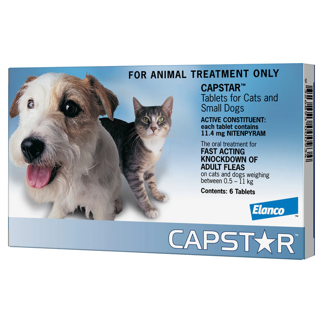Capstar blue for clearance cats