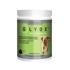 Christmas Dog Treats