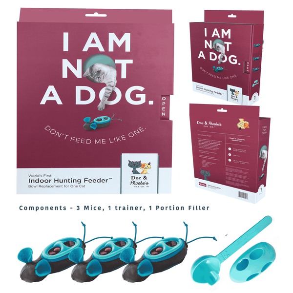 Indoor Hunting Feeder Doc Phoebe Vets Love Pets