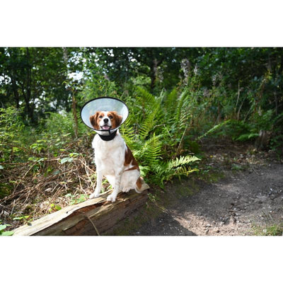 Kruuse Buster Complete Collar - Dog Recovery Collar - 5