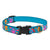 LupinePet Wet Paint! Original Designs Dog Collar 1.9cm