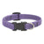 LupinePet Lilac Eco Dog Collar