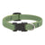 LupinePet Moss Eco Dog Collar