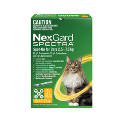 Broad-Spectrum Parasite Protection - All-in-One Treatments for Cats