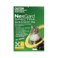 Broad-Spectrum Parasite Protection - All-in-One Treatments for Cats