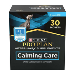 Vet-Recommended Anxiety Products for Dogs