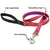 LupinePet Bling Bonz Original Designs Dog Leash 2.5cm