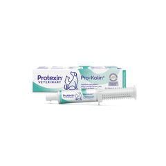 Adult Cat Products – Food, Treats, and Toys