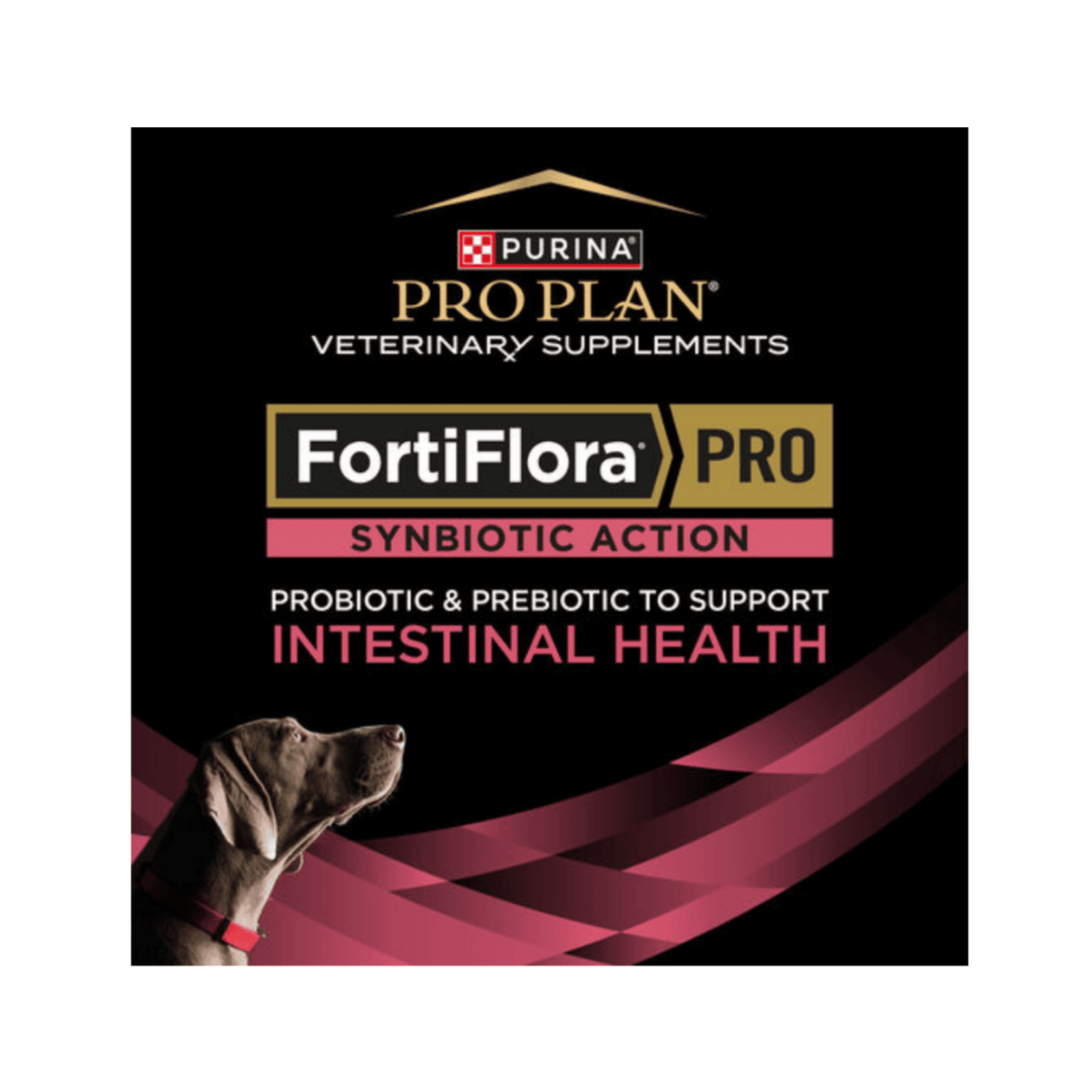 Purina Pro Plan FortiFlora Pro Dog Supplements 2g Sachets – Vets