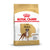 Royal Canin Boxer Breed Adult Dry Dog Food