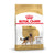 Royal Canin German Shepherd Breed Adult Dry Dog Food