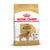 Royal Canin Golden Retriever Breed Adult Dry Dog Food