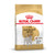 Royal Canin Jack Russell Terrier Breed Adult Dry Dog Food