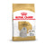 Royal Canin Maltese Breed Adult Dry Dog Food