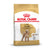 Royal Canin Poodle Breed Adult Dry Dog Food