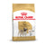 Royal Canin Pug Breed Adult Dry Dog Food