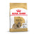 Royal Canin Shih Tzu Adult Dry Dog Food