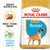 Royal Canin Boxer Breed Puppy Dry Dog Food