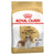 Royal Canin Cavalier King Charles Breed Adult Dry Dog Food