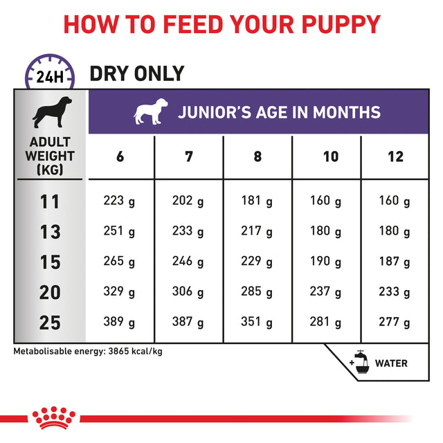 Royal Canin Expert Neutered Junior Medium Breed Dry Dog Food – Vets ...