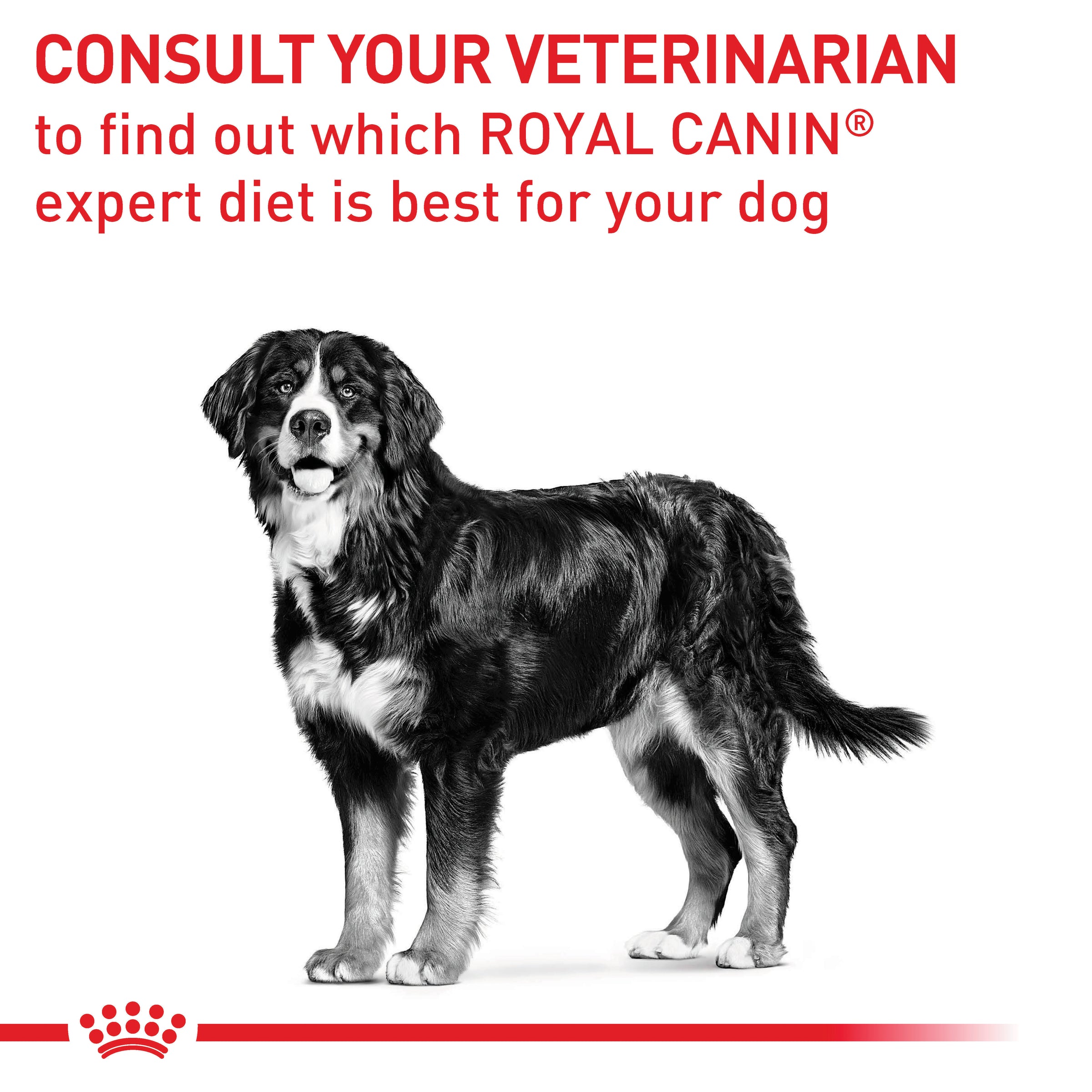 Royal canin neutered large dog sales over 25kg