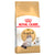 Royal Canin Ragdoll Breed Adult Dry Cat Food