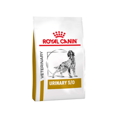 Dog Food for Urinary Health - Supportive Diets