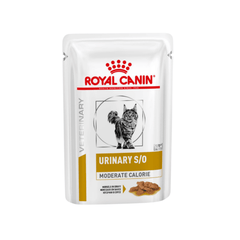 Wet Cat Food for Urinary Health - Vet Recommended