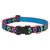 LupinePet Flower Power Original Designs Dog Collar 2.5cm