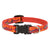 LupinePet Go Go Gecko Original Designs Dog Collar