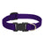 LupinePet Basic Solids Purple Adjustable Dog Collar