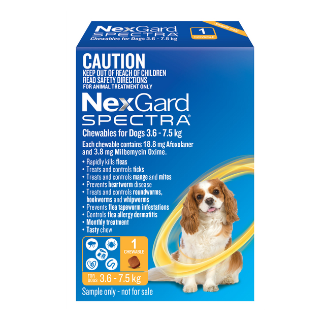 Nexgard spectra for small best sale