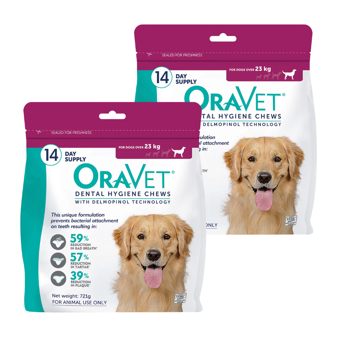 Oravet Dental Hygiene Best Dental Chews For Puppies Chewy Oravet