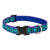 LupinePet Rain Song Original Designs Dog Collar