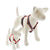 LupinePet Rain Song Original Designs Roman Dog Harness 1.9cm