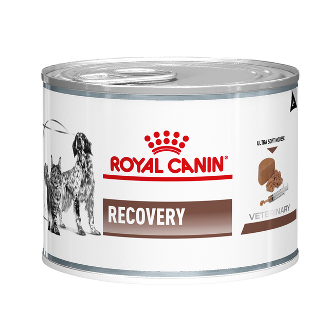Royal Canin Veterinary Recovery Wet Cat & Dog Food 195g Cans – Vets Love  Pets